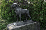 Burgenland 3D - Bruckneudorf - Rottweiler